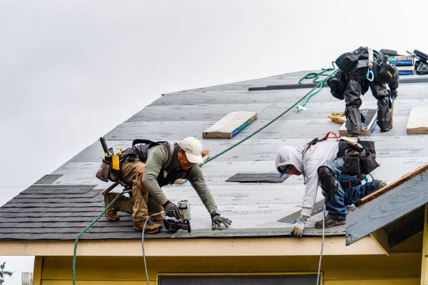 Professional Gutter Installation technician working in Franklinville, NC